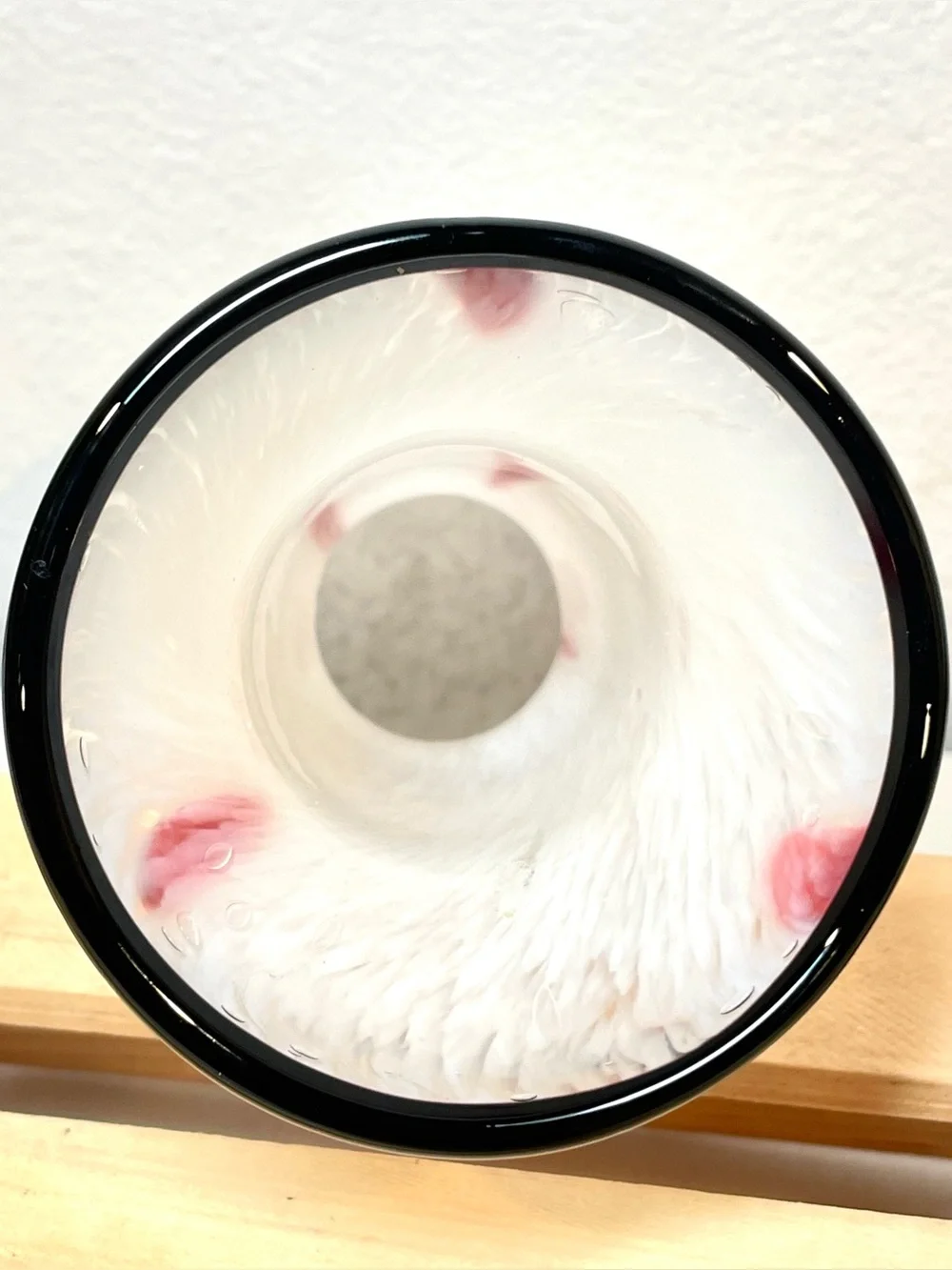 Mottled White w Red Abstract Polka Dots Black Top Rim Glass Art Vase | EUC